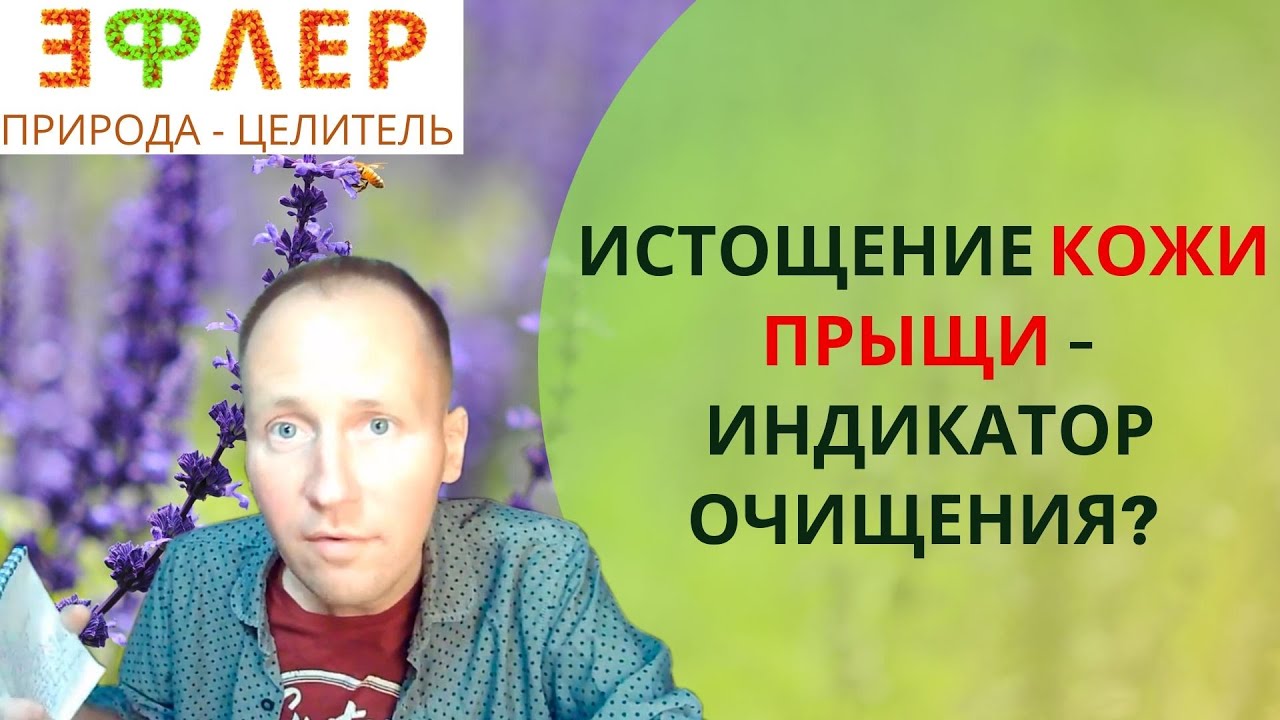 Почему портится антифриз
