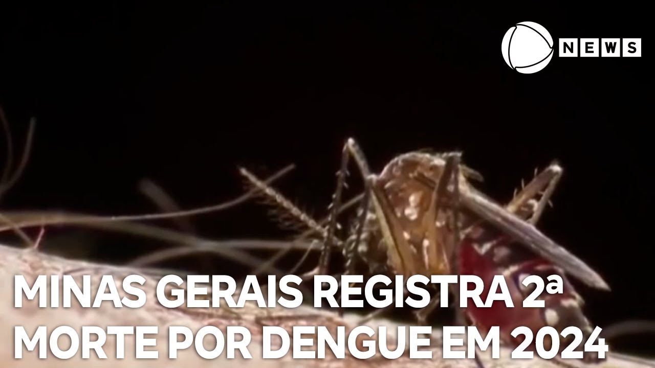 Minas Gerais registra segunda morte por dengue em 2024