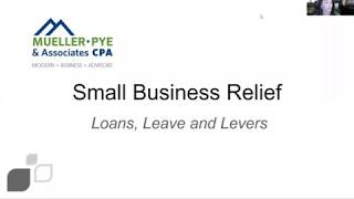 Small Business Relief - Loans, Leave and Levers