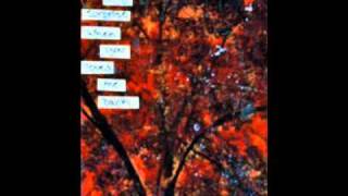 Postsecret - Love