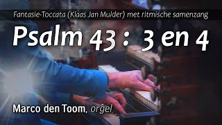 Video thumbnail of "Samenzang Psalm 43 (bewerking Klaas Jan Mulder) - MARCO DEN TOOM, Grote Kerk, Dordrecht"