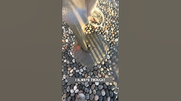 How Pebble Paths Are Made #shorts
