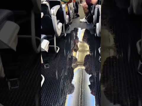 مفاجأة على متن الطائرة مياه وهدوء مقابل تذكرة مجانية 