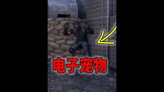 战狗还能饲养电子宠物？萌新的五个小技巧！【战狗】 #战狗 #游戏解说 #wardogs #射击游戏 #游戏攻略