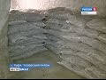 Когда в Гыде появится установка по шоковой заморозке рыбы