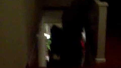 Dark BandBuillity - Crille Surprised