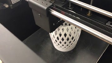 Flying bear Ghost 3D print show