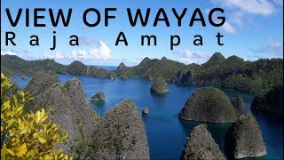 Pulau Wayag Raja Ampat dilihat dari udara