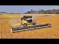 Harvesting Linseed with a VIEW! | Farming in Australia | Harvest 2023 | Vlog 225