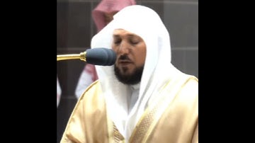 تلاوة مرئية سورة الزلزلة الشيخ ماهر المعيقلي