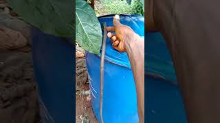 Togo : Formation en biogaz domestiques