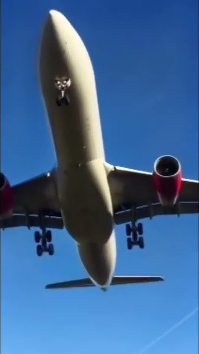do-airplanes-land-on-autopilot-shorts-youtube