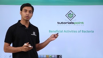 Class 11th – Kingdom Monera - Beneficial Activities of Bacteria | Tutorials Point