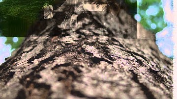 Bangkok Thailand By Pentax Q