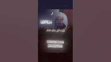#قران_كريم #تلاوة_خاشعة #عبدالرحمان_السديس #اكسبلور #المصحف #دويتو #duet #yasseraldossary #