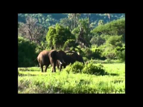 Tanzania Safari with Wild Frontiers