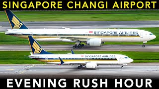 SINGAPORE CHANGI AIRPORT - Evening RUSH HOUR | PLANE SPOTTING