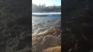 Тюгурюк