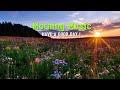 Morning Relaxing Music - Wake Up Happy & Fresh Energy - Morning Meditation Music For Your New Day