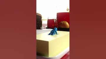 Lego in Blender #blender #blenderrender #3danimation #3dart #animation #lego #legoanimation #shorts