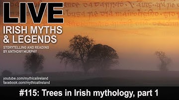 Live Irish Myths episode #115: Trees in Irish myth and folklore, part 1: The Yew Tree