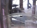 池田動物園　チンパンジー舎のUFOキャッチャー.AVI の動画、YouTube動画。