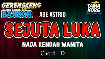 SEJUTA LUKA KARAOKE - BAJIDOR