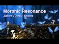 Morphic Resonance After Forty Years