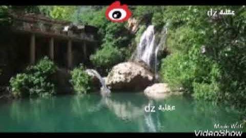 تلاوة عطرة من صلاة التراويح من ولاية النعامة مدينة مشرية