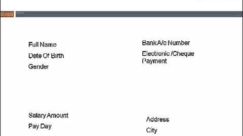 what is infotype in sap  hr abap