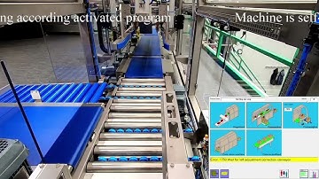 CPS Case Packing Systems - CP 201