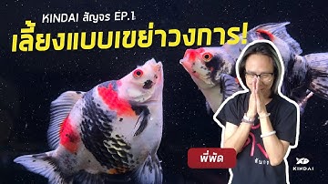 KINDAIสัญจร EP.1 : พี่พัด ผู้เลี้ยงตู้!