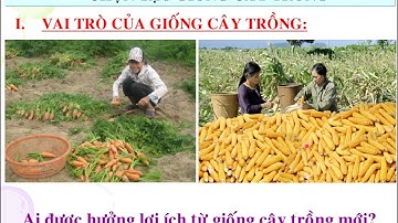 NGT Công nghệ 7 - Bài 10 Vai trò, Phương pháp chọn tạo giống cây trồng