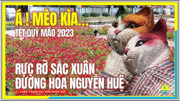 Sài Gòn RỰC RỠ SẮC XUÂN ĐƯỜNG HOA NGUYỄN HUỆ Đón Tết Qúy Mão 2023 | Trung Tâm Sài Gòn Ngày Nay