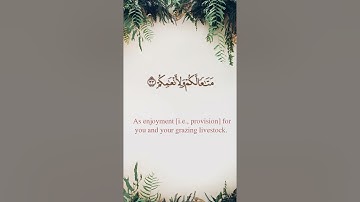 سورة النازعات - أحمد بن طالب بن حميد l مترجم للغة الإنجليزية