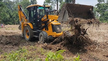 Clearing Forest Ground To Planet New Tree By JCB Backhoe