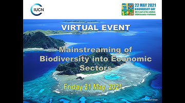 Virtual Event: Mainstreaming Biodiversity into Economic Sectors - Session 2