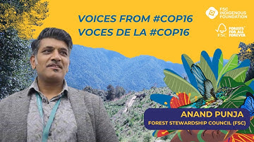 Voices from #COP16: Anand Punja on Indigenous Knowledge and Sustainability