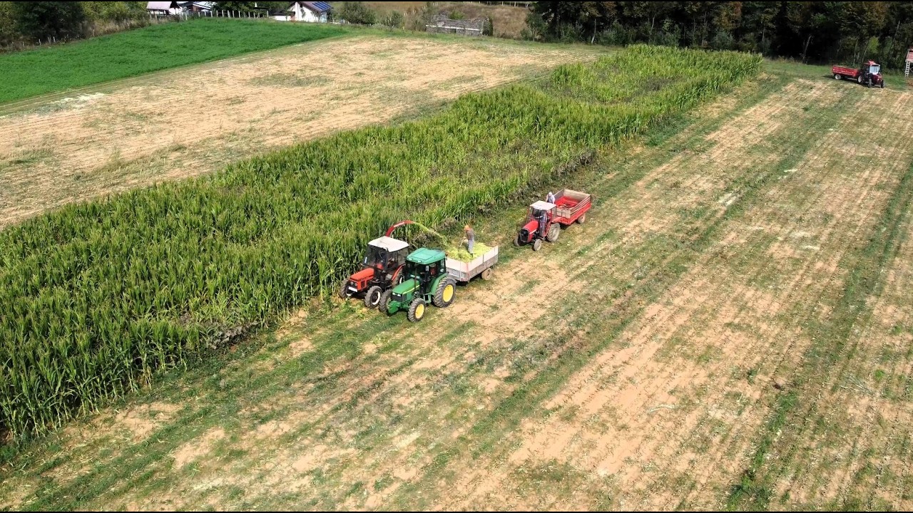 Zetor 6245 - VELIKI poduhvat za male traktore? Zetor 6340 | John Deere 5705 | IMT - Silaža kukuruza