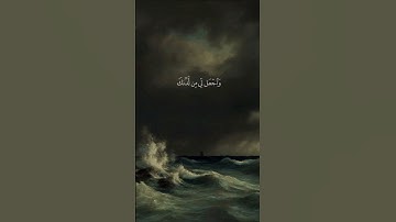 قرآن كريم#عبدالباسط_عبدالصمد #المنشاوي#قران_كريم#لايك #سورة_البقرة#عبدالرحمن_مسعد#سورة_الكهف