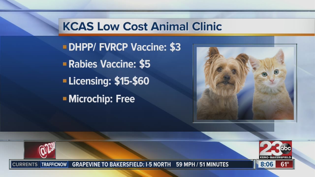 Kern County Animal Services And Shafter Animal Control Host Low Cost Kern County Animal Services And Shafter Animal Control Host Low Cost