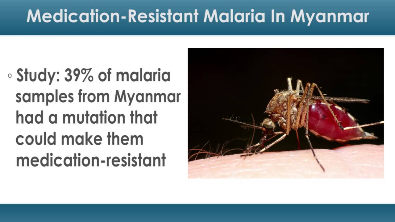 Medication Resistant Malaria in Myanmar