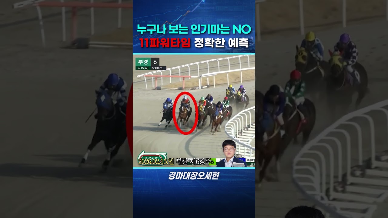[26.02.15.일/부산 6R] 1등마를 알아보는 선구안