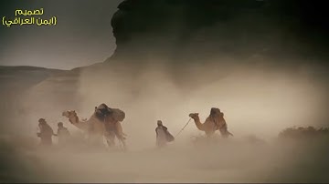 ما تسير من سورة"هود"|بصوت القارئ عامر الكاظمي