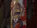 কেদারনাথ বাবা দশন করুন আপনার মনে ইচছা জানান