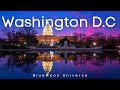 Washington D.C in United States Tour in 4K BlueMoon Universe