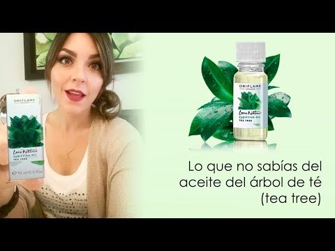 que no sabías del aceite árbol té (tea tree) - YouTube