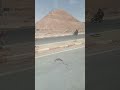 ياراكبا في رحلة الحياة 