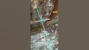 100% Brilliant Workable Rope tension System #creativesurvival #rope #shortsfeed #shorts