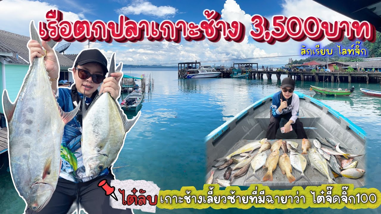 ตกปลาชิวๆที่ร้านขายกุ้งเป็นเกาะช้าง พักบ้านริมเลคืนละ500 และไปลงเรือตกปลาค่าเรือ3,500 บาท(ไลท์จิ๊ก)